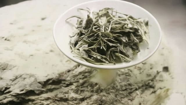 龙游黄茶到底是绿茶还是别的什么茶品你一定要知道的真相