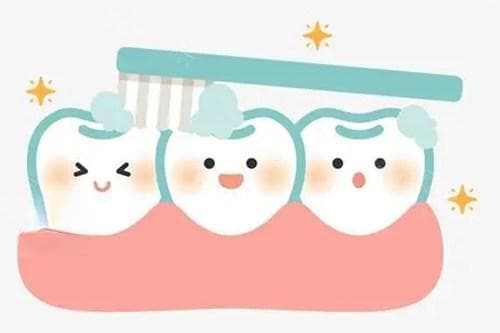 牙周韧带在哪有什么用？牙齿稳固的守护神，藏在口腔深处的秘密