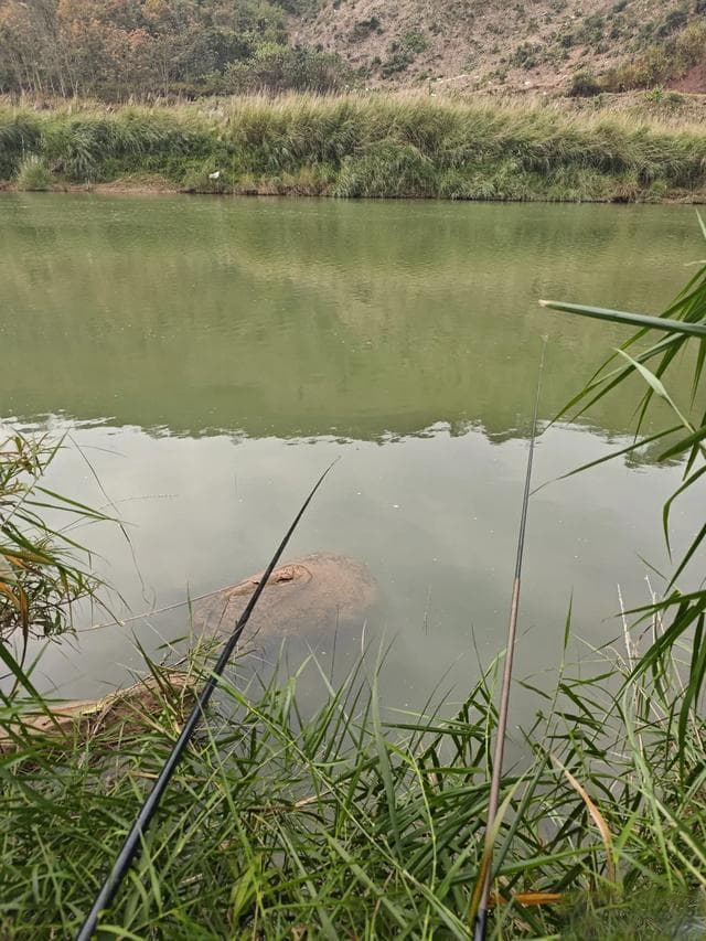 掌握春季野钓鲫鱼技巧，四个建议提升收获率