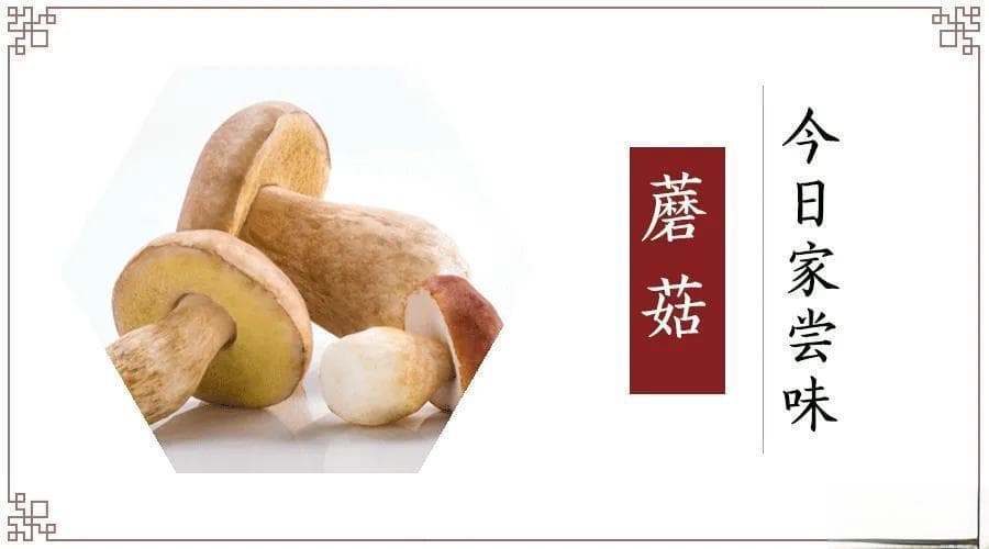 蘑菇：富含膳食纤维的「素中之肉」