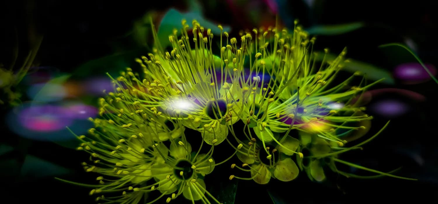 达尔文诞辰216周年：分子生物学的新发现正在重塑进化论