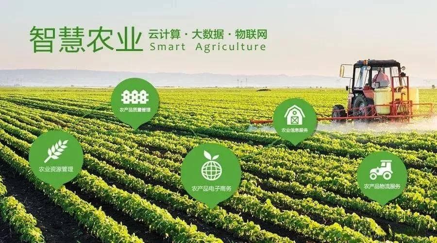 无人农场：智慧农业的灯塔——现代农业的飞跃与未来愿景