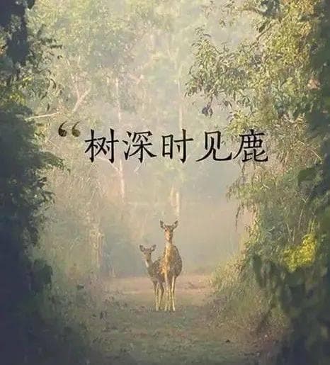 李白二十岁以前写的一首诗，一句封神！