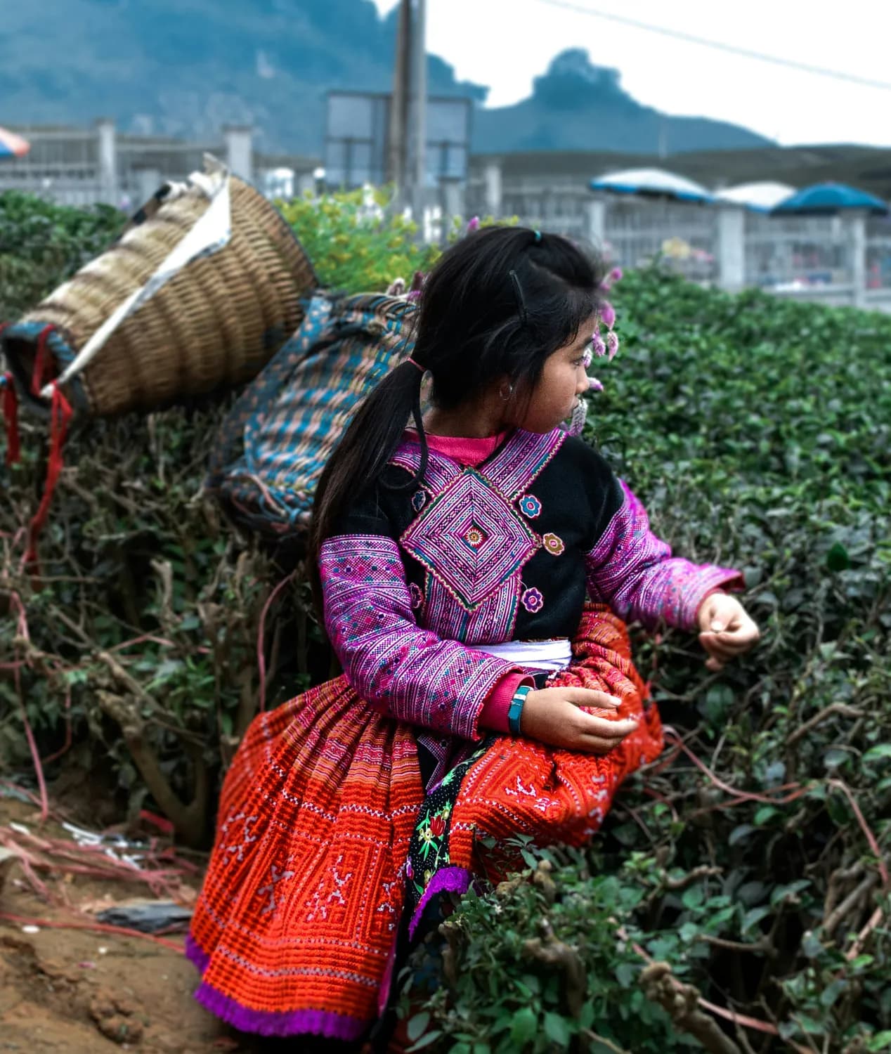凉山彝族女性地位亟待改善