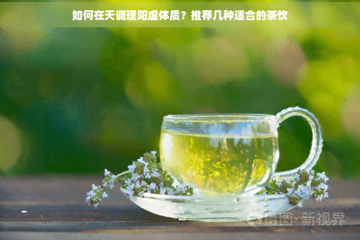 如何在天调理阳虚体质？推荐几种适合的茶饮