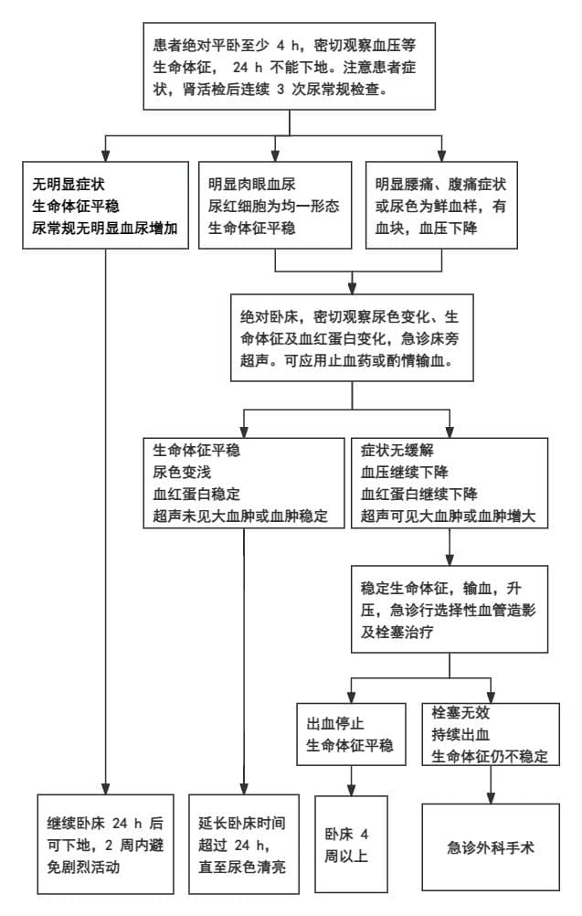 关于「 肾穿刺活检 」，你必须要掌握的 4 个知识点