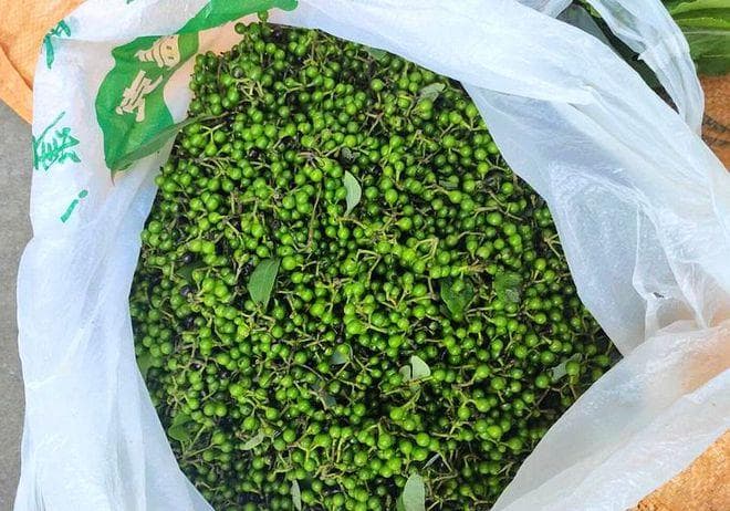 青花椒怎么保存不变色又保鲜？