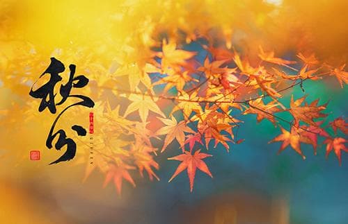 秋分节气的含义及其特点 秋分节气的农谚有哪些