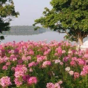 松湖花海：四季花开的自然奇观