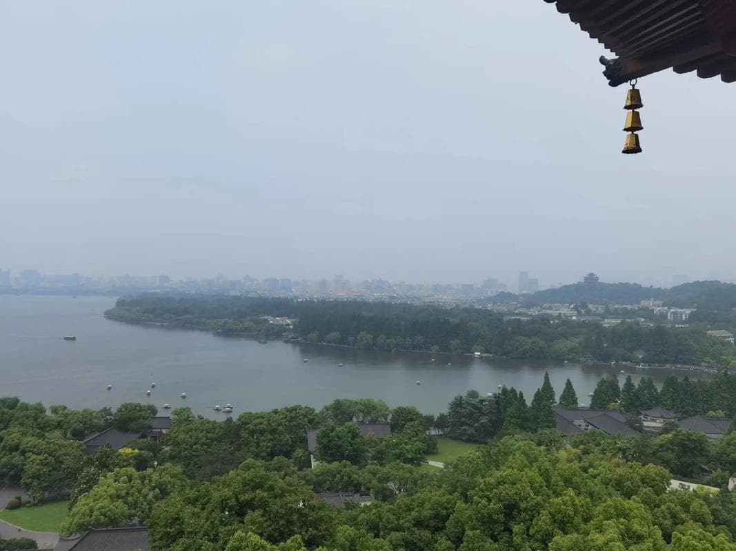 西芹汁奇迹？探索其对艾滋病的潜在影响与真相