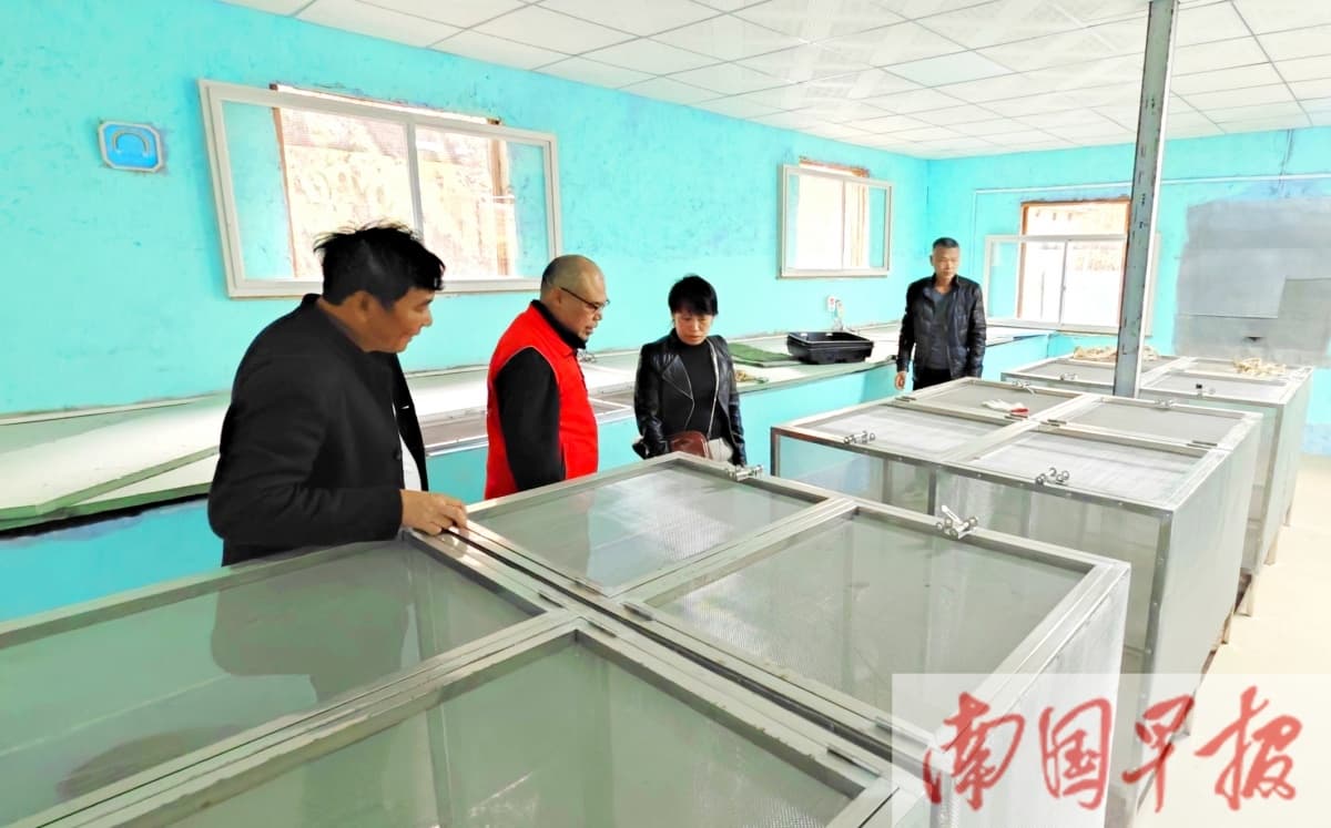 广西蛇类养殖业转型记：从餐桌到大健康产业