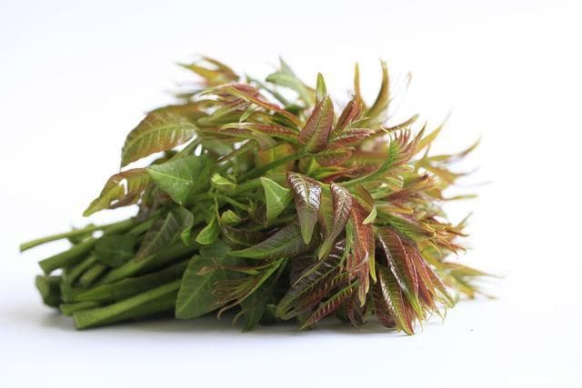 乡野美味：探寻农村野菜的独特魅力与营养价值之香椿芽