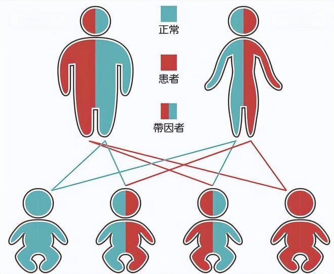 兄妹结婚被禁？法律这样规定！