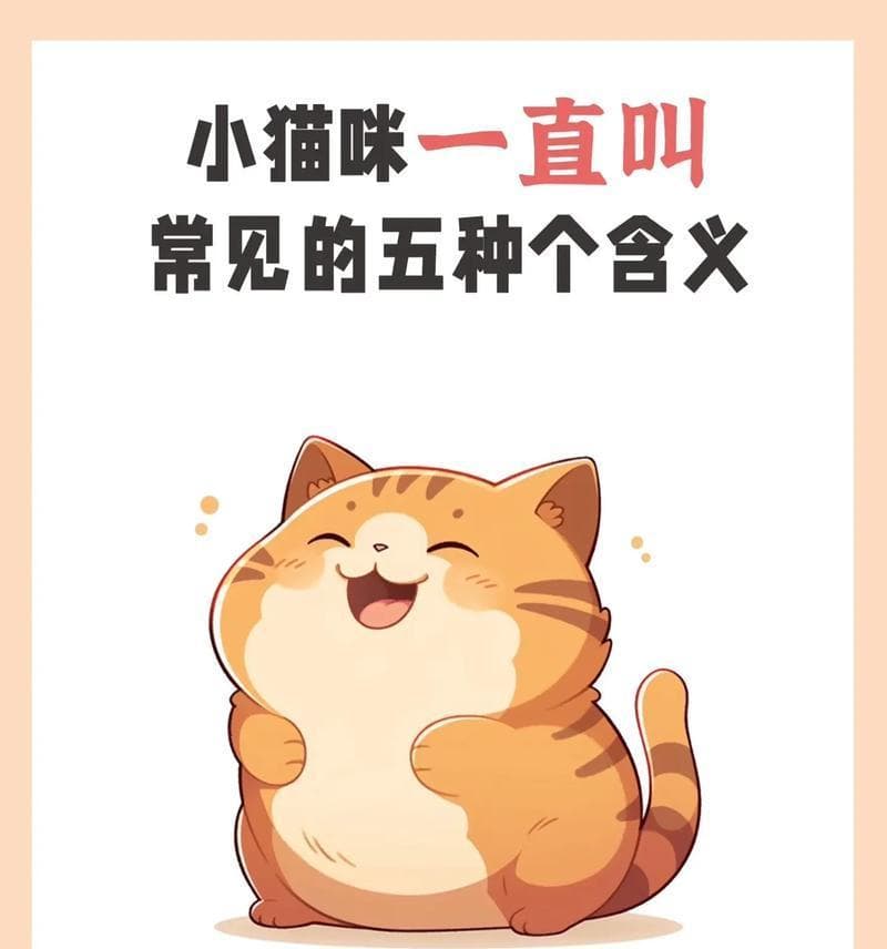 猫叫的寓意与象征意义（探寻猫叫背后的奥秘）