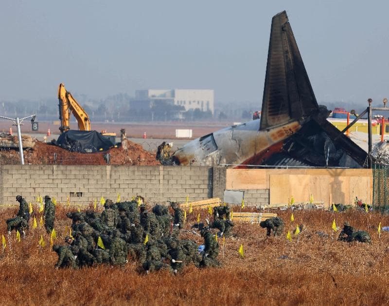 近期国外航空事故频发，民航局：加强机场及周边区域驱鸟作业