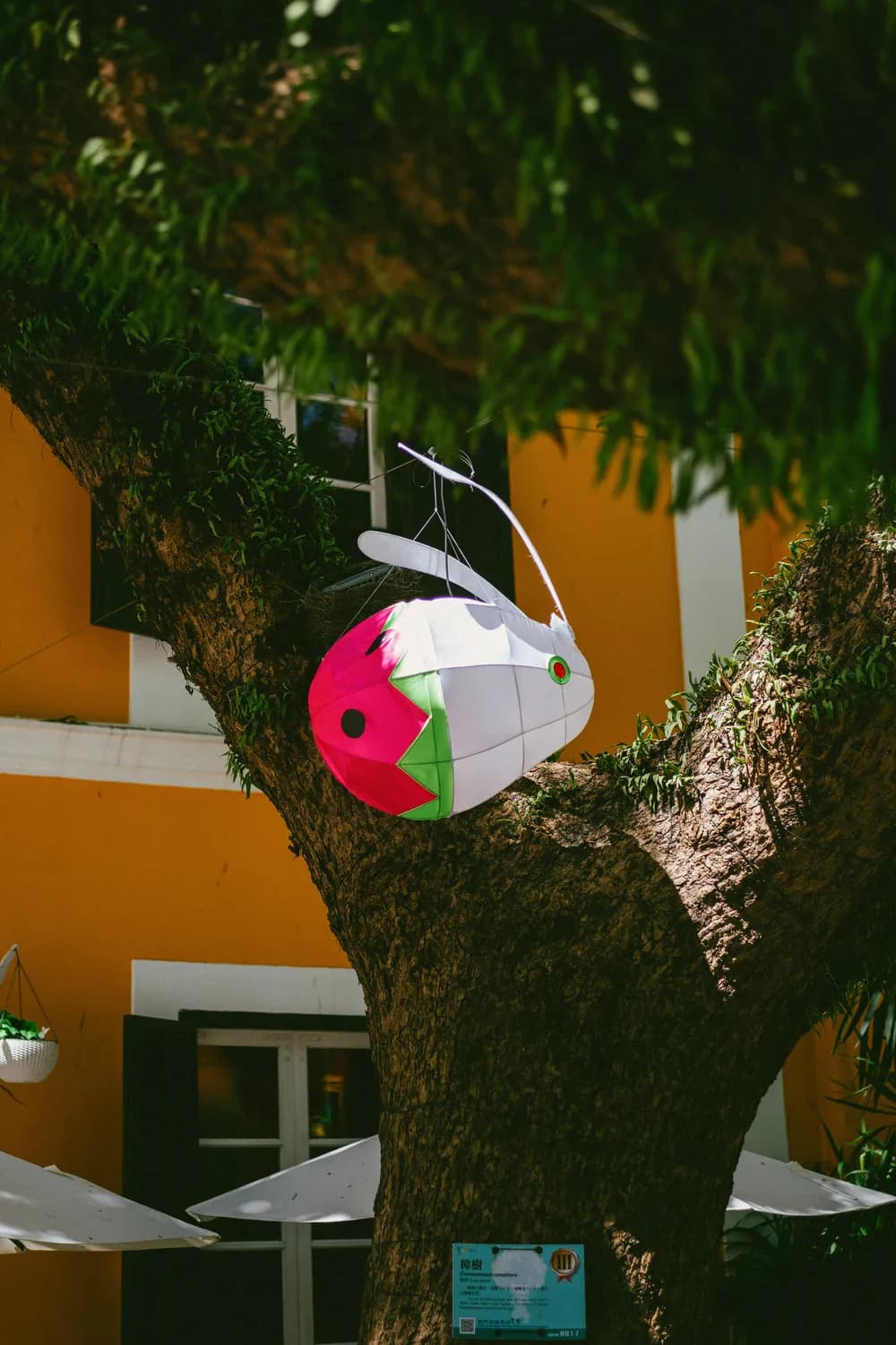 橡皮泥新年作品：幼儿园里的创意大比拼
