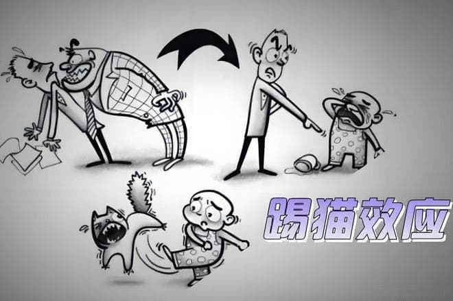 容易情绪失控的原生家庭怎么办？3大层面深剖，从周微妈妈说开去