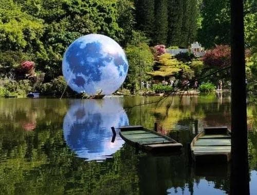 深圳仙湖植物园：一个集科研与游览于一体的植物天堂