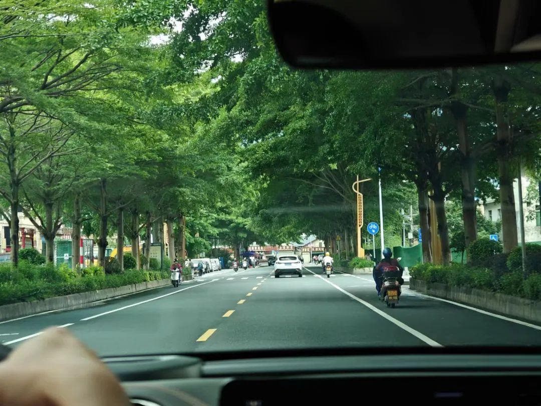 网约车内卷，一批司机转头去开顺风车