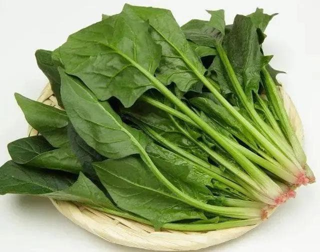 菠菜可以生吃吗？揭秘菠菜的正确打开方式！