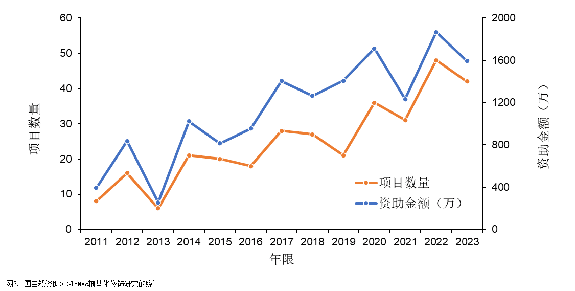 O-GlcNAc糖基化修饰：心血管疾病研究新热点