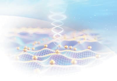 引力子物理探索研究展现科学的魅力（开卷知新）