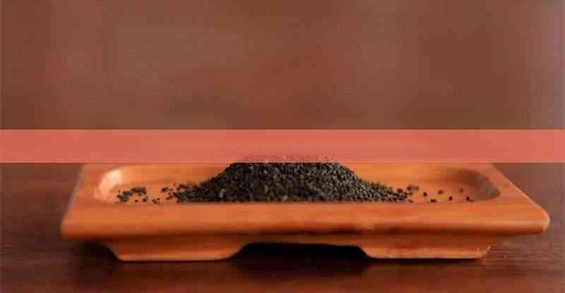桦树茸茶的多重益处：从健康到养生的全方位解析