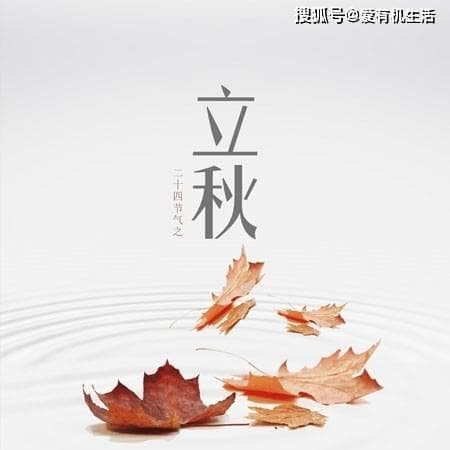 立秋后适合种植什么蔬菜？