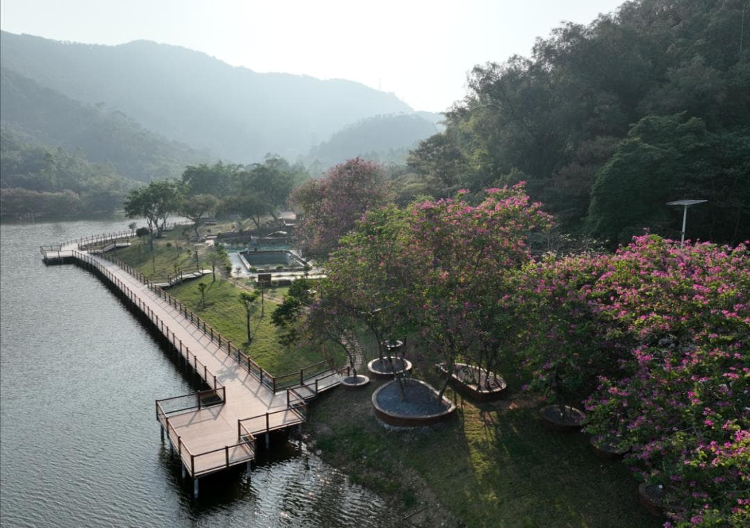 蓬江区棠下镇乐溪村：农文旅深度融合，村集体收入翻倍