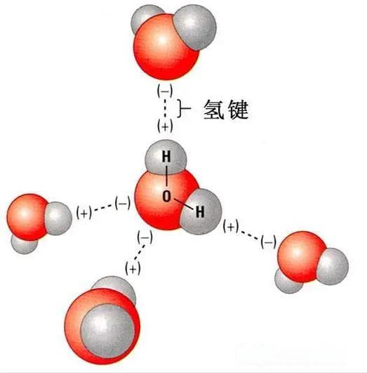 含氢键的物质熔点比较：从氢键强弱和数量看水、氟化氢和氨气的差异