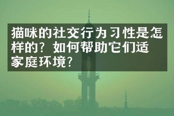 猫咪的社交行为习性是怎样的？如何帮助它们适应家庭环境？