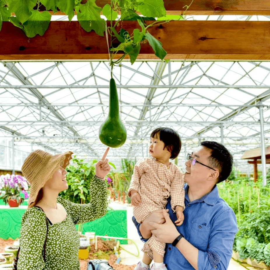 花海、温泉、稻田、星空……惠州这些神仙玩法承包你的周末！