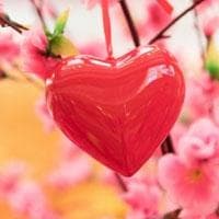 古人为何提倡先成家后立业