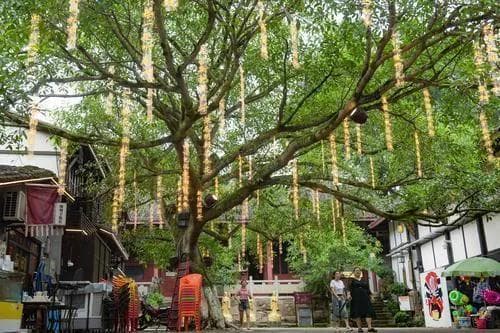 古镇活化利用如何留住“魂”？来看北碚偏岩古镇火出圈背后的故事