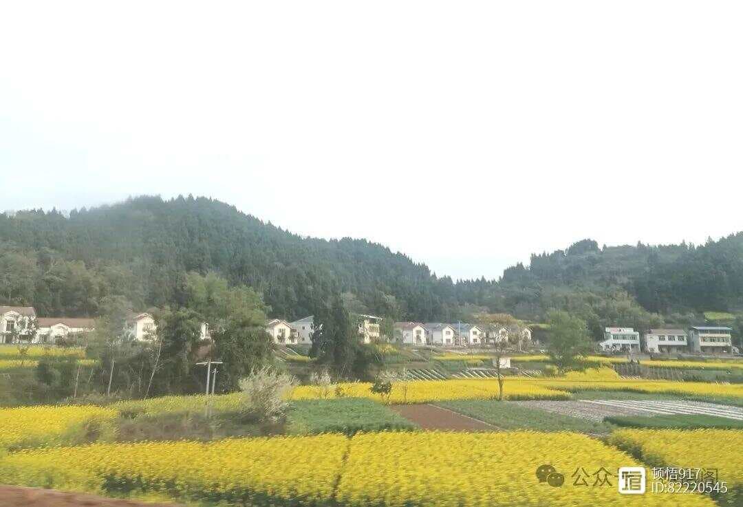 清明节知识 | 清明节扫墓有哪些讲究与禁忌？