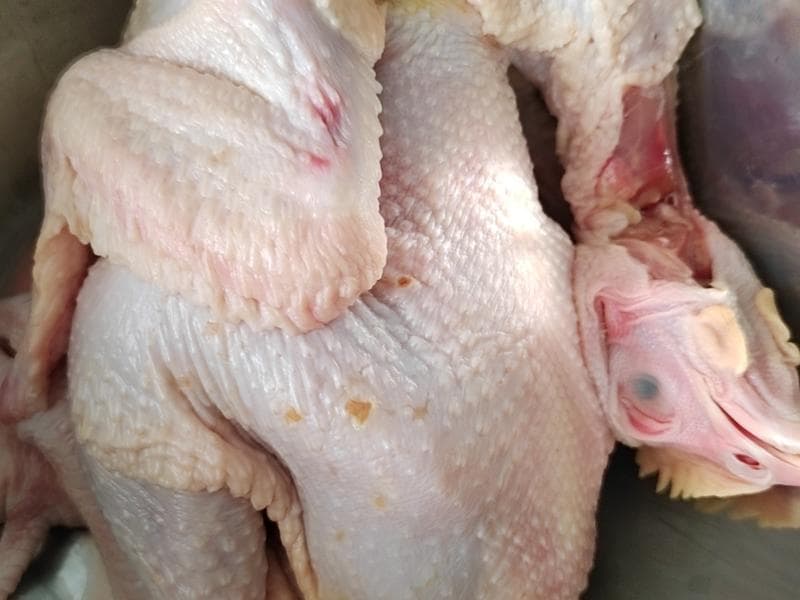 空气炸锅版烤全鸡：外酥里嫩的美味秘诀