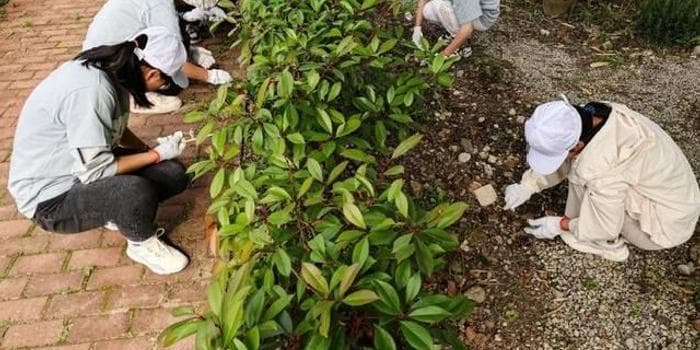 江苏多所高校推出“春耕”特色劳动实践课程
