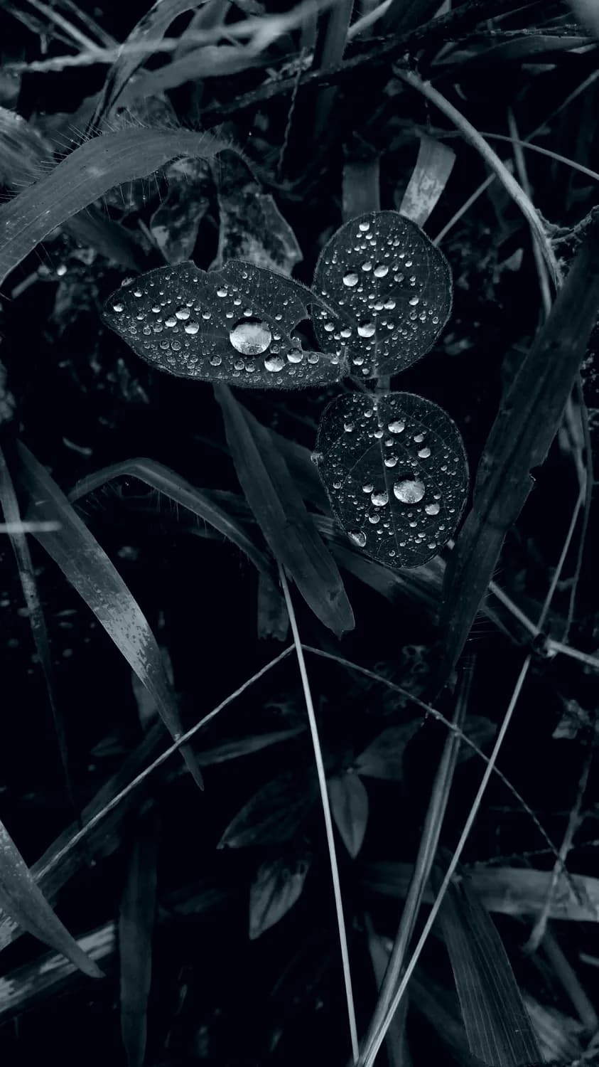 田雨洁：一个名字的文化解读