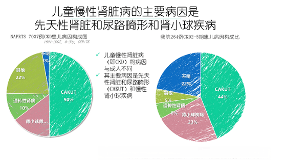 小朋友也会肾不好？——重视儿童慢性肾脏疾病