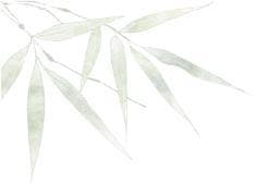 二十四节气——清明