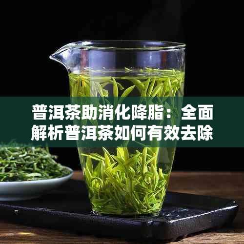 普洱茶助消化降脂：全面解析普洱茶如何有效去除油腻与促进健康