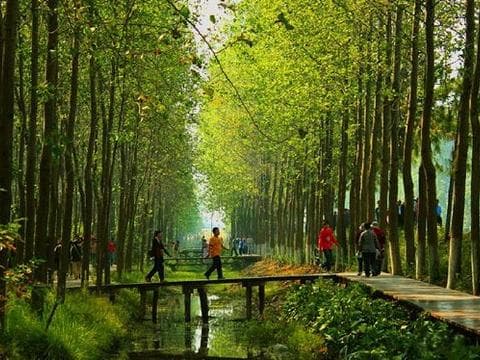 滨湖公园：城市中心的自然绿洲 🌳