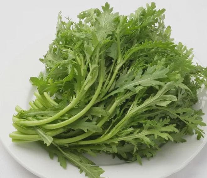 茼蒿最晚几月种植？茼蒿菜的种植方法和管理，一文说清楚