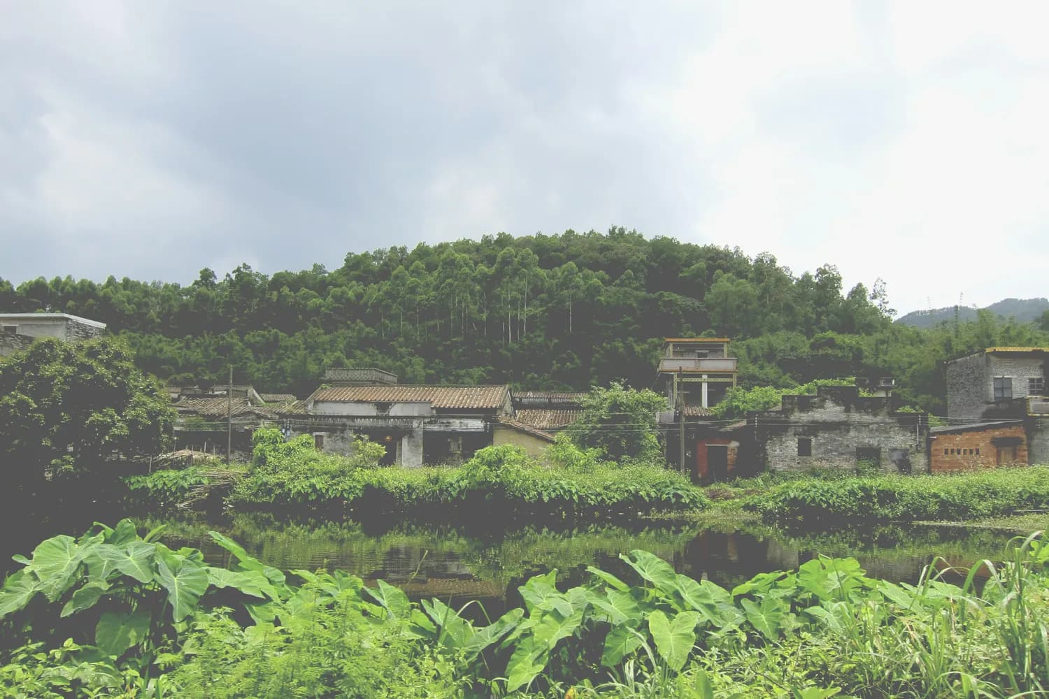壬山丙向：揭秘古代风水的秘密