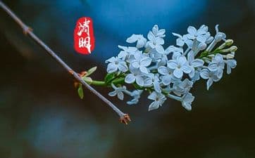 清明节立碑有什么讲究和忌讳 2024立碑的最佳时间