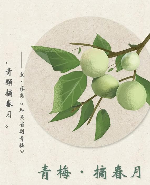 古人对水果的雅称，你知道几个？