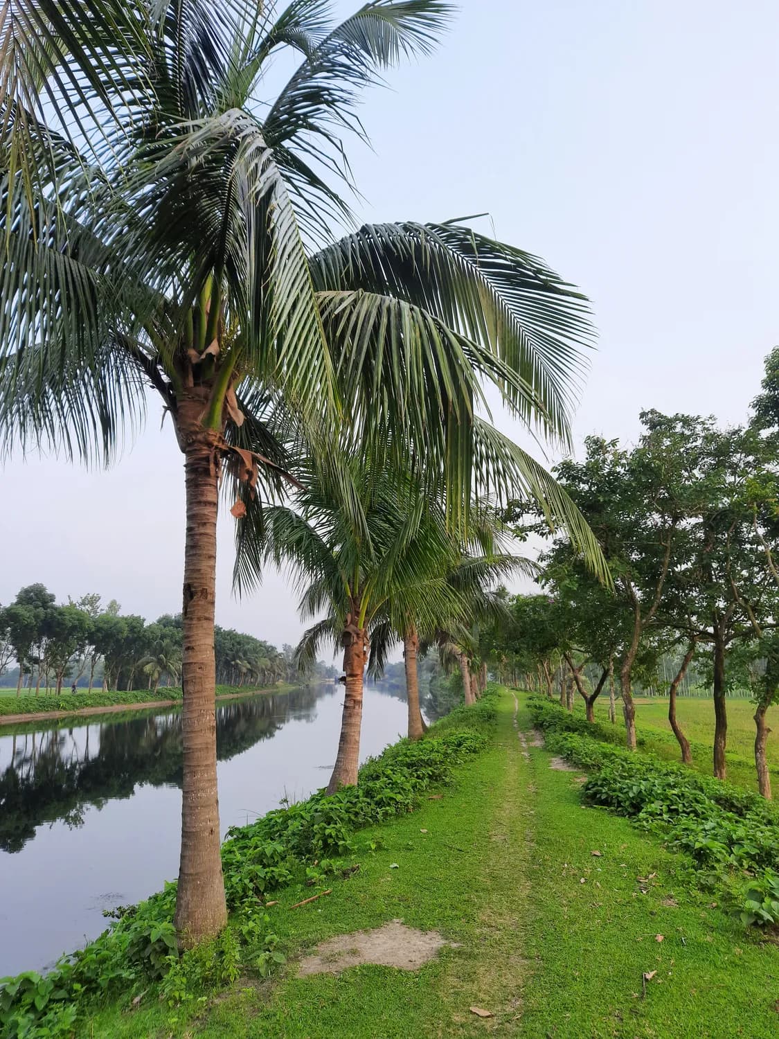 万泉河：琼海必打卡的特色旅游景点推荐