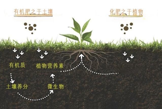 有机质肥料全解析：从动物粪便微生物到农作物秸秆，多元化补充土壤养分