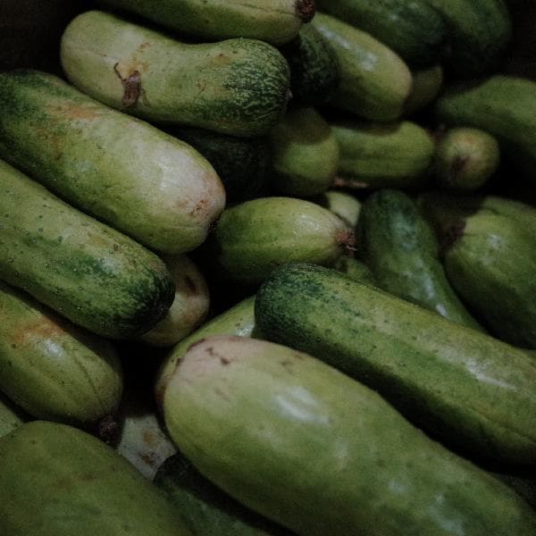 吃完油腻的饭菜吃什么排油解腻