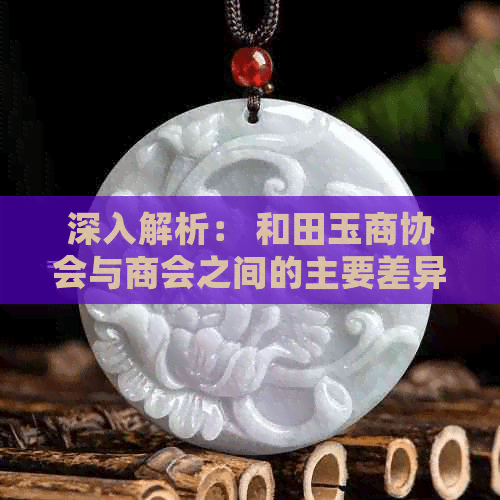 深入解析：和田玉商协会与商会之间的主要差异及其影响